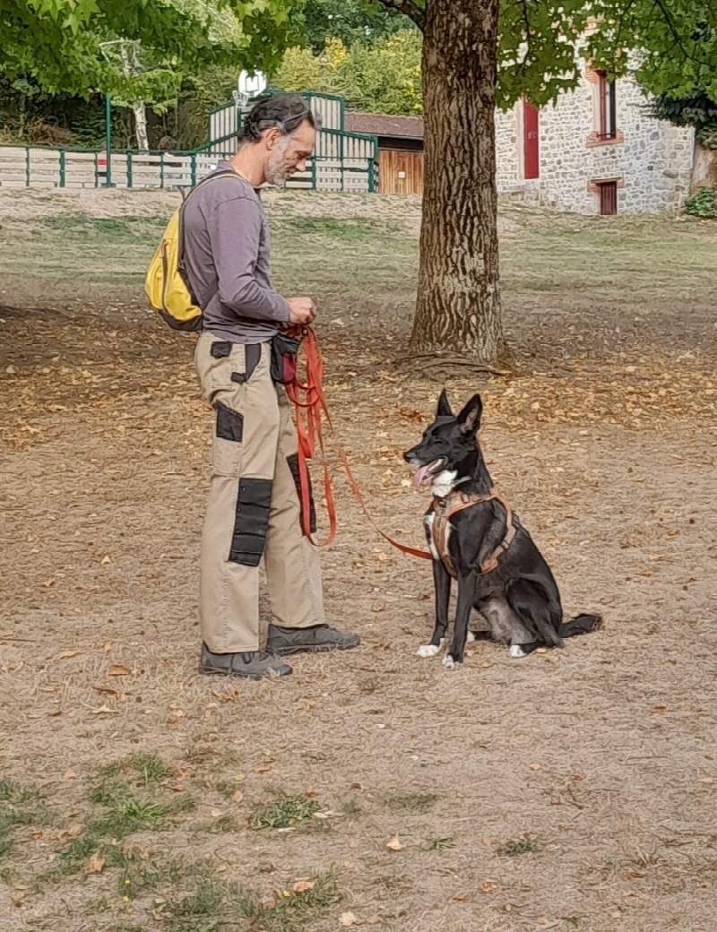 Éducateur canin debout avec un chien noir et blanc tenu en laisse rouge, éducation positive